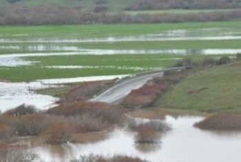 View of Highway 1 flooded at Gasker Slough, flooded Stornetta lands in the background.